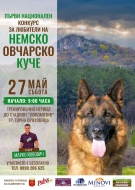 150 елитни кучета ще участват в конкурс за немски овчарки в Горна Оряховица