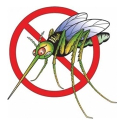 В община Лясковец ще третират срещу комари
