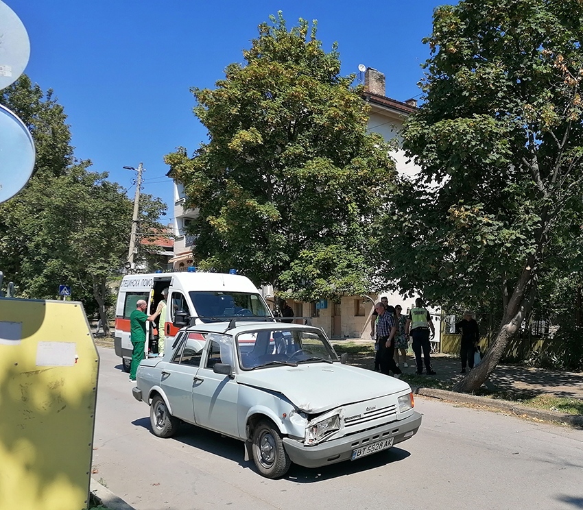 Възрастно семейство се размина на косъм, огромна липа падна току пред колата им в Горна Оряховица
