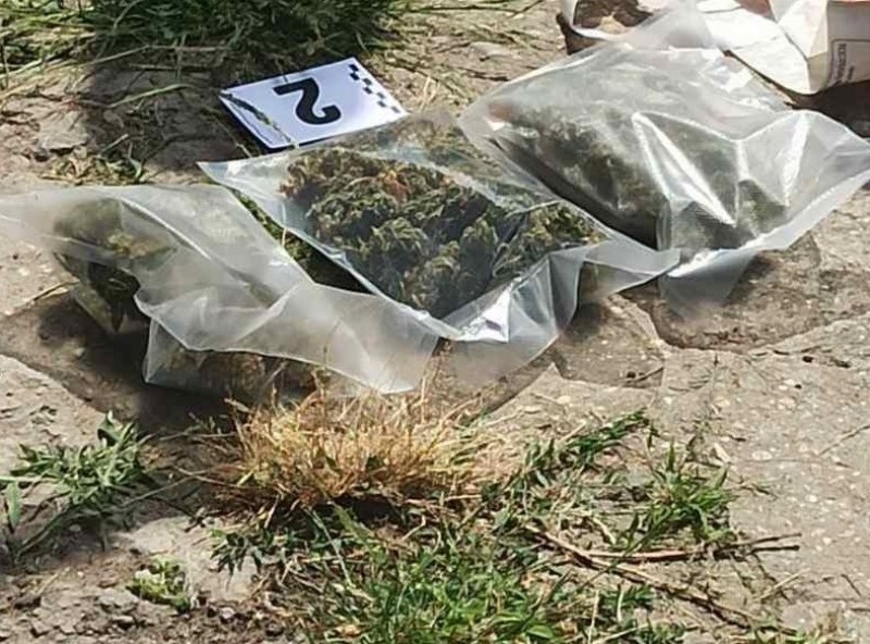 Заловиха 42-годишен от Патреш, докато си полива конопа