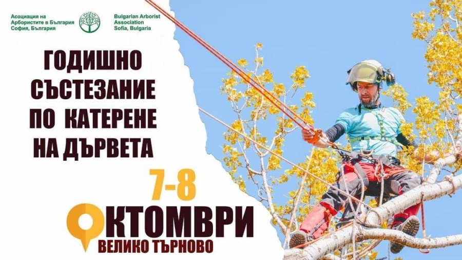 Състезание по катерене по дървета провеждат в Присово