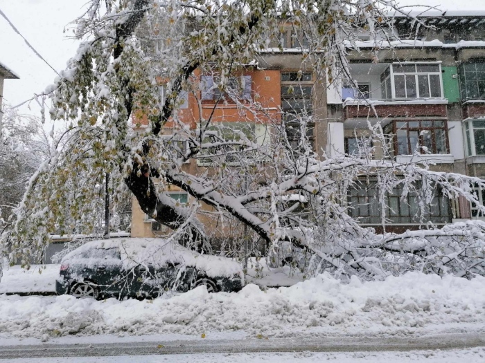 Стотици са сигналите за паднали дървета и скъсани проводници, почти всички селища в Горнооряховско останаха без ток