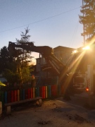 Близо 5-метров бор засадиха на площада в Долна Оряховица, децата ще го украсят в събота