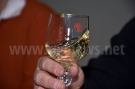 В Лясковец търсят баш майсторите на домашно вино