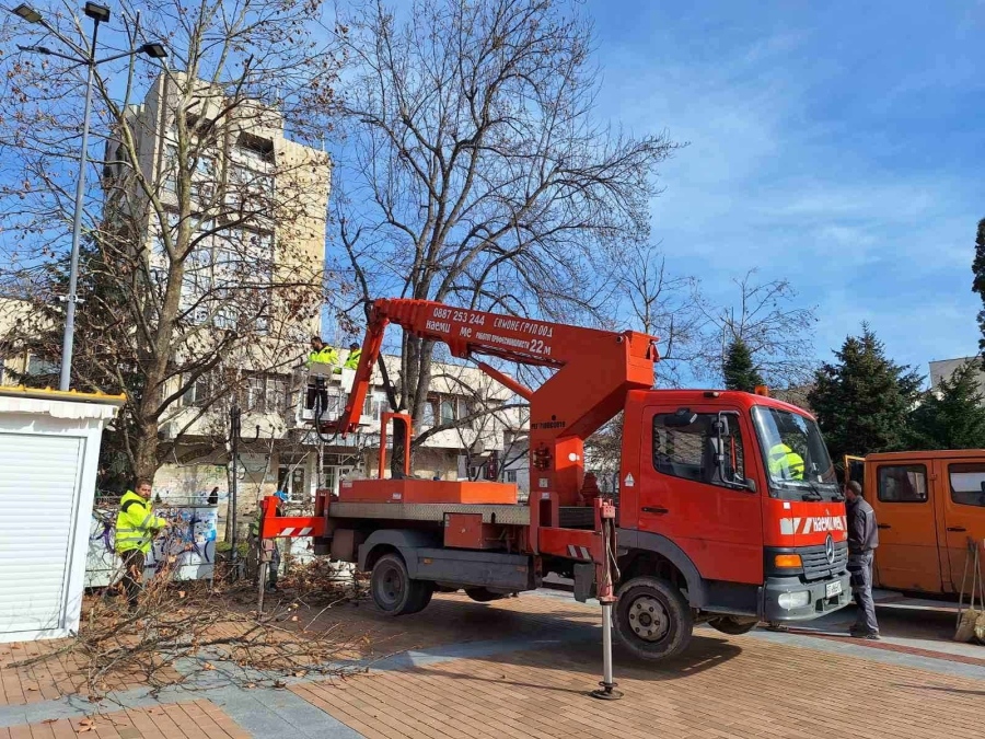 С вишка ще се кастрят надвиснали клони в Горна Оряховица, приканват се гражданите да освободят от коли ул. „Яворов” и „Пролет” на 8 февруари