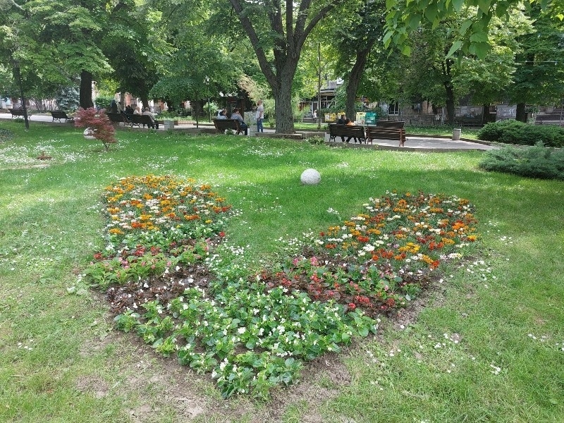 В Свищов ще опушват против комари