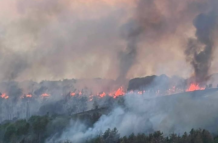 Проверяват всички възможни версии за лумването на пожара на Гарга баир