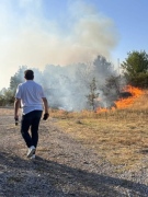 Даниел Панов: Апелирам за най-строги наказания за подпалвача на пожара във Велико Търново и за съучастниците му