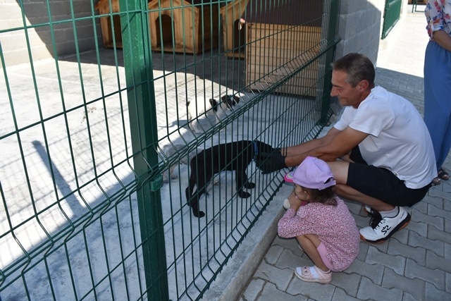 Приютът за бездомни кучета в Горна Оряховица отвори, Вихър и Прима са първите му обитатели