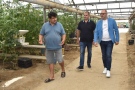 В оранжериите в Джулюница съчетават традициите с модерните технологии при отглеждането на зеленчуци