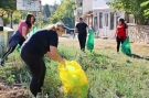 Община Лясковец се включи в националната кампания „Да изчистим България заедно”
