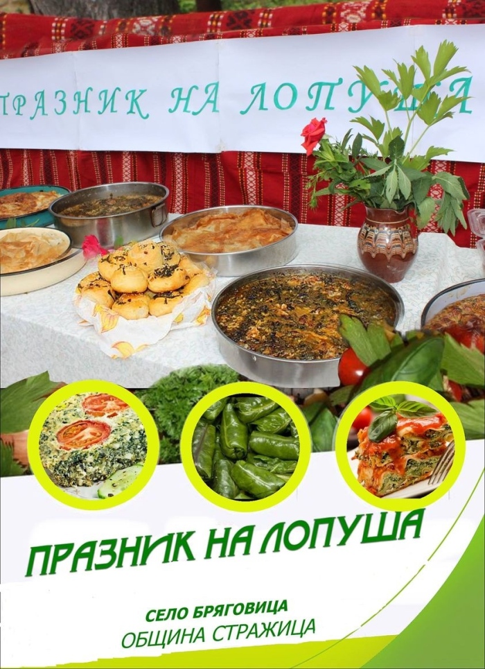 Наближава Празникът на лопуша в Бряговица