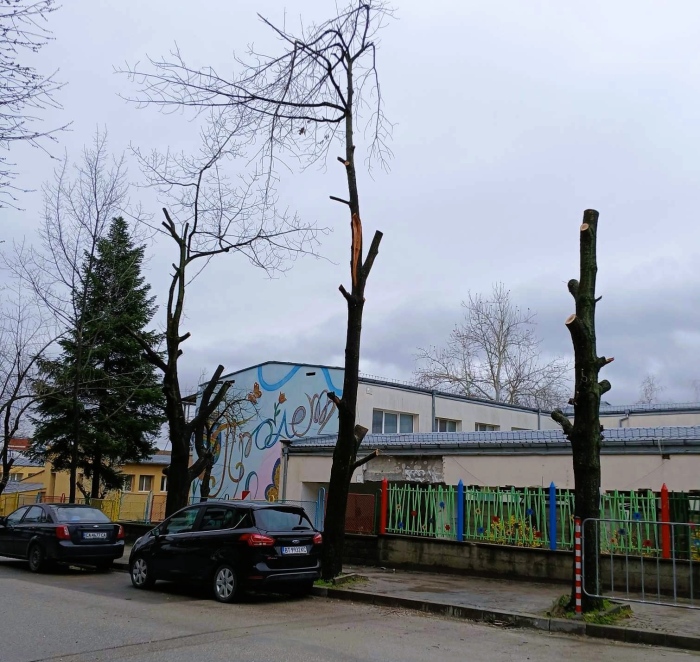Във Велико Търново глобяват нарушители, окастрили дървета