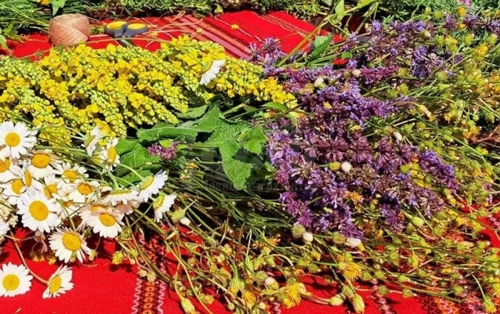 Еньовден ще събере жители и гости на Златарица в Черничките