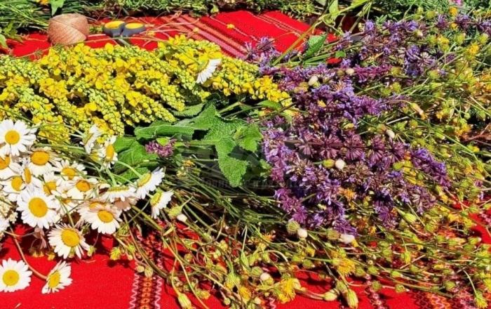 Еньовден ще събере жители и гости на Златарица в Черничките