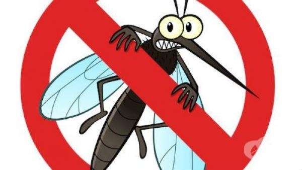 В Свищов извършват втора обработка срещу кърлежи и бълхи